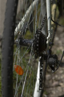 Bu, üzerinde dinlenen bir kelebeği gösteren bir bisiklet tekerleğinin detaylı yakın plan fotoğrafı, hem doğayı hem de makineyi aydınlatıyor.