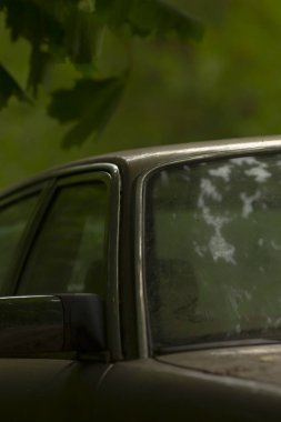 Bir araba ormanın sakin ve sakin bir bölgesinde park edilmiş, uzun ağaçlar güzel bir arka plan manzarası sağlıyor.