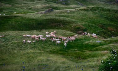 Atlantik Pireneleri 'ndeki Vadi - Fransa