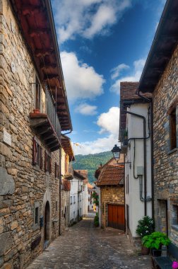 Ans, İspanya 'nın Aragn özerk bölgesinde, Huesca eyaletine bağlı belediyesi. Jacetania bölgesine ait..
