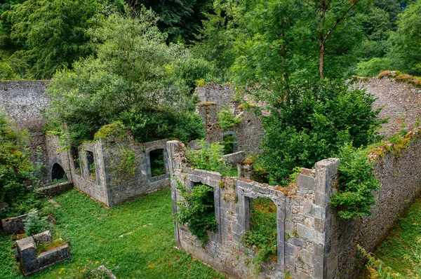 Kraliyet Silah ve Mühimmat Fabrikası 1784 yılında İspanya Kralı III. Charles 'ın emriyle Orbaizeta belediyesinde kurulmuş bir kraliyet fabrikasıdır..