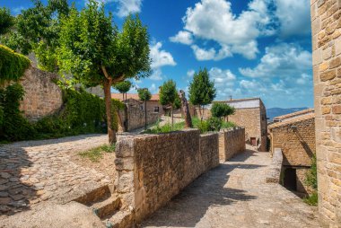 Sos del Rey Catlico İspanya 'nın Aragon eyaletinin Zaragoza ilinin kuzeybatısında bulunan Cinco Villas bölgesine bağlı belediyesi..