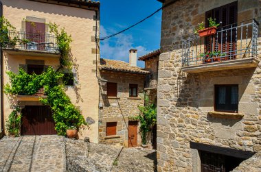 Sos del Rey Catlico İspanya 'nın Aragon eyaletinin Zaragoza ilinin kuzeybatısında bulunan Cinco Villas bölgesine bağlı belediyesi..