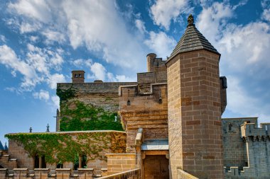 Navarre de Olite Kralları Sarayı, Olite Kraliyet Sarayı ya da Olite Kalesi 'nin sarayı sarayının bir yapısıdır.