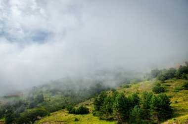 Navarra, İspanya Pireneleri 'nin manzaraları
