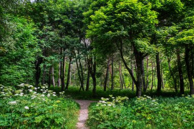 Panticosa Spa Panticosa, Huesca, Aragon, İspanya