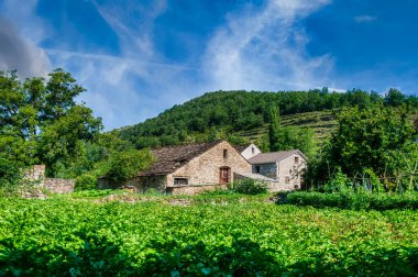 Linas de Broto, Aragon 'un Huesca ilinin Torla-Ordesa ilçesine bağlı bir Aragonese kasabasıdır. İspanya