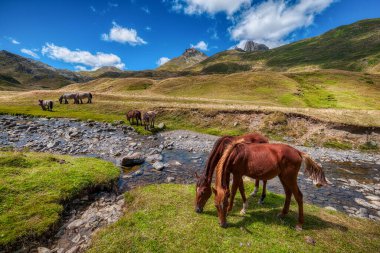 Laruns, Fransa 'da Aquitaine Bölgesi, Atlantik Pireneleri Bölgesi, Oloron-Sainte-Marie Bölgesi ve Larun Kantonu' nda yer alan bir şehirdir..