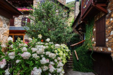 Gars, İspanya 'nın Katalonya eyaletinde yer alan Alto Aran belediyesinde yer alan bir nüfus birimidir..