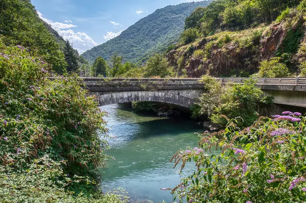 プエンテ レイは フランスのハウテ ガロンヌとスペインのアラン渓谷を結ぶガロンヌ川を渡る橋と国境です ストック画像