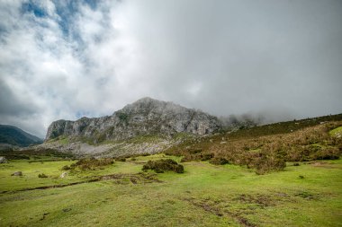 Cangas de Ons, İspanya 'nın Asturias ilinin başkenti Asturias' ta yer alan bir belediyedir.