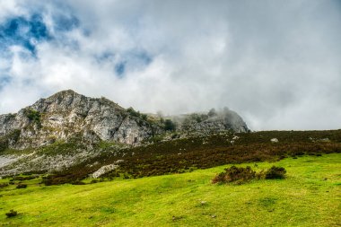 Cangas de Ons, İspanya 'nın Asturias ilinin başkenti Asturias' ta yer alan bir belediyedir.