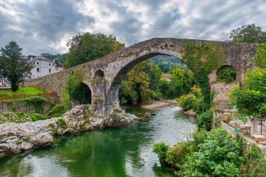 Cangas de Ons, İspanya 'nın Asturias ilinin başkenti Asturias' ta yer alan bir belediyedir.