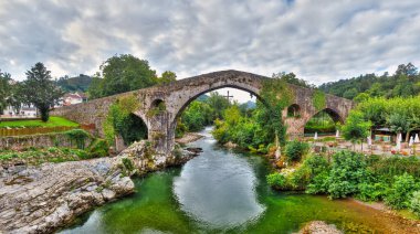 Cangas de Ons, İspanya 'nın Asturias ilinin başkenti Asturias' ta yer alan bir belediyedir.
