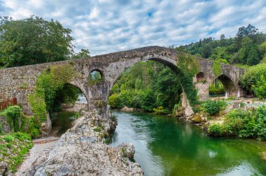 Cangas de Ons, İspanya 'nın Asturias ilinin başkenti Asturias' ta yer alan bir belediyedir.