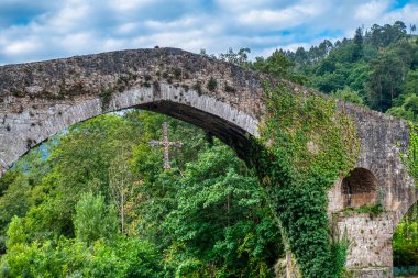 Cangas de Ons, İspanya 'nın Asturias ilinin başkenti Asturias' ta yer alan bir belediyedir.