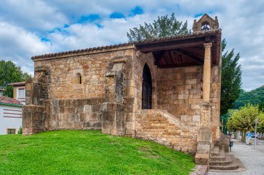 Cangas de Ons, İspanya 'nın Asturias ilinin başkenti Asturias' ta yer alan bir belediyedir.
