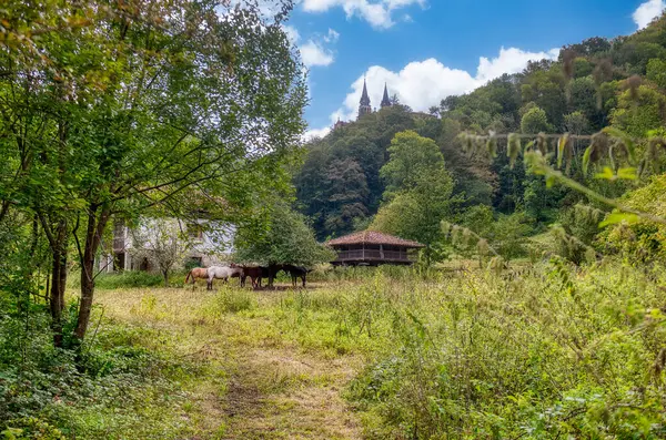 stock image Cangas de Ons is a municipality, parish of the same homonymous municipality, of which it is the capital, in the Principality of Asturias, Spain