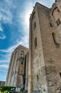 Notre dame des doms Katedrali Avignon, Fransa