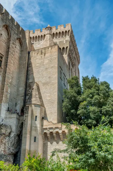 stock image Notre Dame des Doms Cathedral in Avignon, France