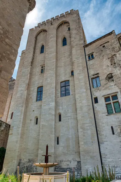 Notre dame des doms Katedrali Avignon, Fransa
