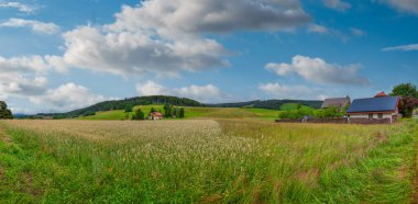Titisee, Almanya 'nın Baden-Wrttemberg eyaletinde yer alan bir göldür.