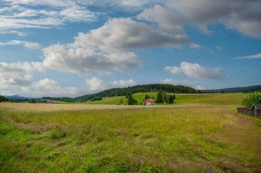 Titisee, Almanya 'nın Baden-Wrttemberg eyaletinde yer alan bir göldür.
