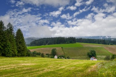 Furtwangen is a small town nestled in the depths of the German Black Forest (Schwarzwald), in the state of Baden-Wrttemberg. clipart