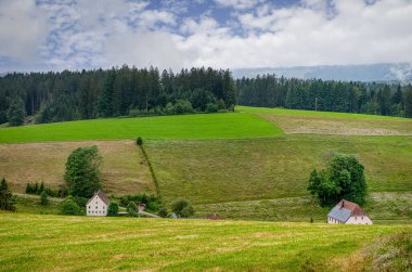 Furtwangen, Almanya 'da Baden-Wrttemberg eyaletinde yer alan bir şehirdir..