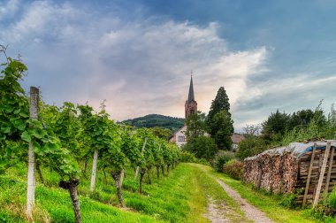 Sasbachwalden, Almanya 'da Baden-Wrttemberg eyaletinde yer alan bir şehirdir. Hornisgrinde Dağı 'nın batı yamacında yer alır.