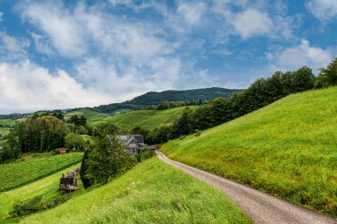 Sasbachwalden, Almanya 'da Baden-Wrttemberg eyaletinde yer alan bir şehirdir. Hornisgrinde Dağı 'nın batı yamacında yer alır.