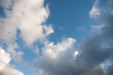 Kolding, Danimarka 'nın güneyinde, aynı adı taşıyan bir Danimarka limanıdır. Kolding belediyesinin ana şehridir..