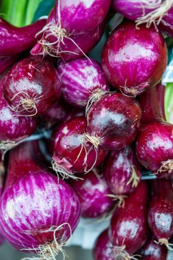 Kopenhag, Danimarka 'da gıda pazarı