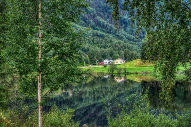 Nesbyen, Norveç 'in Buskerud eyâletinde, Nes Belediyesi' nin yönetim merkezi olan küçük bir kasabadır..
