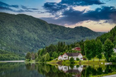 Hol, Norveç 'in Stlandet bölgesinde Buskerud iline bağlı bir belediyedir.