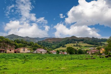 Ons, Asturias Prensliği 'nin özerk bir belediyesidir..