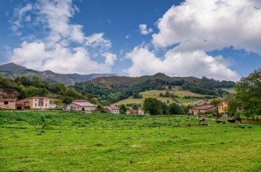 Ons, Asturias Prensliği 'nin özerk bir belediyesidir..