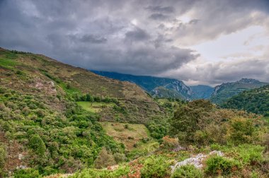 Cabrales is a municipality located in the east of Asturias, forming part of the Picos de Europa National Park, in the north of Spain. clipart