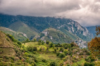 Cabrales İspanya 'nın kuzeyinde Picos de Europa Ulusal Parkı' nın bir kısmını oluşturan Asturias 'ın doğusunda yer alan bir belediyedir..