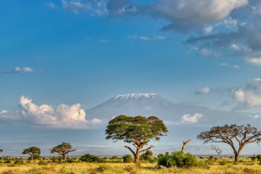 Kenya, Doğu Afrika 'da Hint Okyanusu kıyısında bir ülkedir..