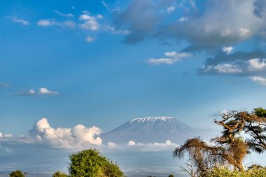 Kenya, Doğu Afrika 'da Hint Okyanusu kıyısında bir ülkedir..
