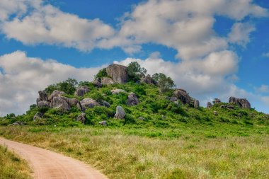 Tanzanya geniş vahşi yaşam alanları ile ünlü bir Doğu Afrika ülkesidir. Bunlar Serengeti Milli Parkı 'nın düzlükleri..