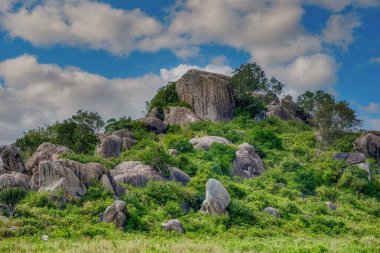 Tanzanya geniş vahşi yaşam alanları ile ünlü bir Doğu Afrika ülkesidir. Bunlar Serengeti Milli Parkı 'nın düzlükleri..