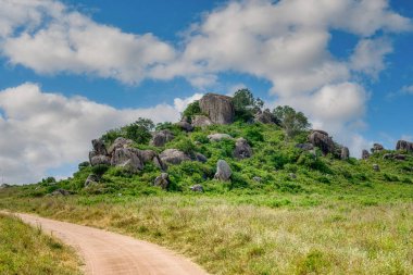 Tanzanya geniş vahşi yaşam alanları ile ünlü bir Doğu Afrika ülkesidir. Bunlar Serengeti Milli Parkı 'nın düzlükleri..