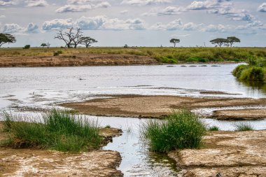 Tanzanya geniş vahşi yaşam alanları ile ünlü bir Doğu Afrika ülkesidir. Bunlar Serengeti Milli Parkı 'nın düzlükleri..