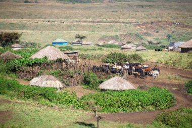 Tanzanya geniş vahşi yaşam alanları ile ünlü bir Doğu Afrika ülkesidir. Bunlar Serengeti Milli Parkı 'nın düzlükleri..