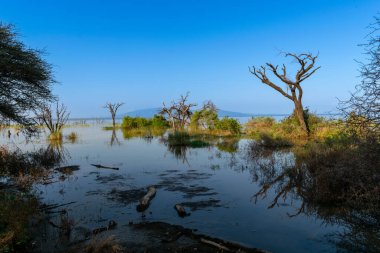 Tanzanya geniş vahşi yaşam alanları ile ünlü bir Doğu Afrika ülkesidir. Bunlar Serengeti Milli Parkı 'nın düzlükleri..