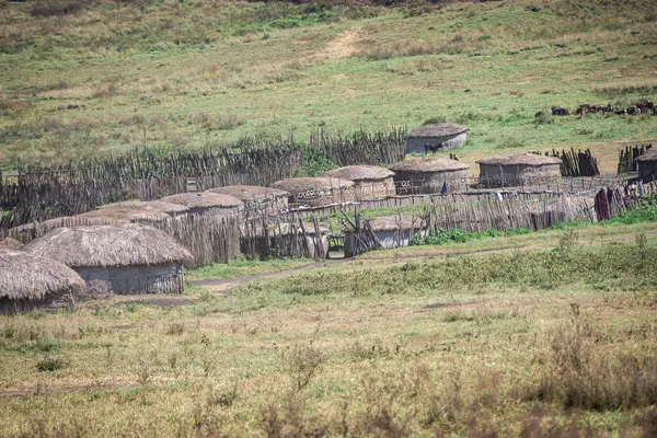 Tanzanya geniş vahşi yaşam alanları ile ünlü bir Doğu Afrika ülkesidir. Bunlar Serengeti Milli Parkı 'nın düzlükleri..