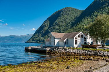 Vik, Norveç 'in Vestlandet bölgesinde Sogn og Fjordane iline bağlı bir belediyedir..