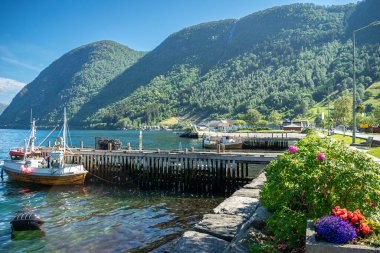 Vik, Norveç 'in Vestlandet bölgesinde Sogn og Fjordane iline bağlı bir belediyedir..